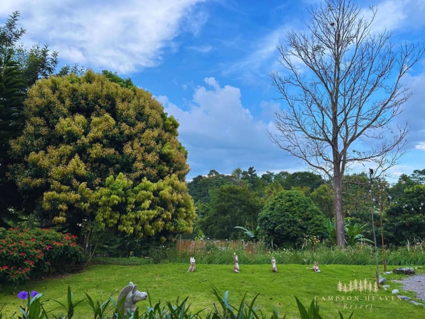 Campson Heaven Resort Khao Kho Exterior foto